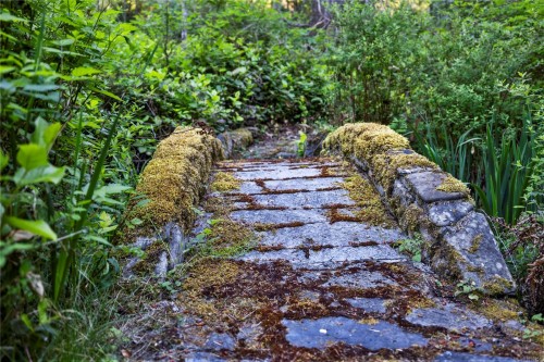 1352 Englishman River Rd, Errington, BC 