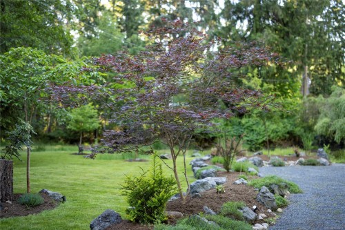 1352 Englishman River Rd, Errington, BC 