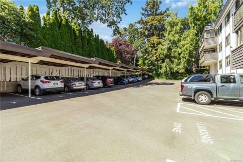 #203-1665 Oak Bay Ave, Victoria, BC - Outdoor