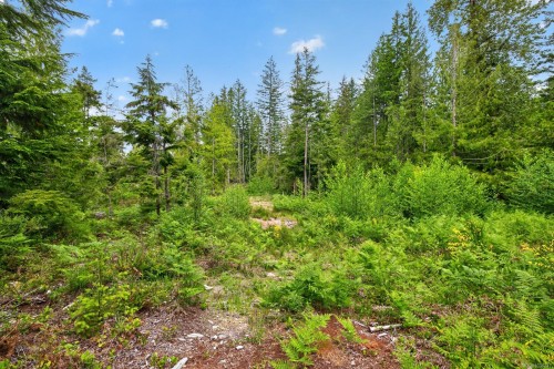 5160 Cowichan Lake Rd, Duncan, BC 