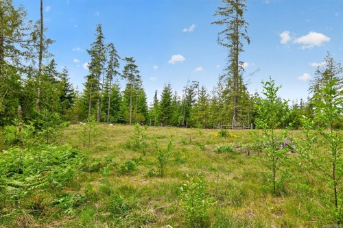 5160 Cowichan Lake Rd, Duncan, BC 