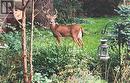 1987 Snake Road, Burlington, ON  - Outdoor 