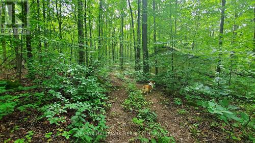 Trails - 14728 Heritage Road, Caledon, ON 