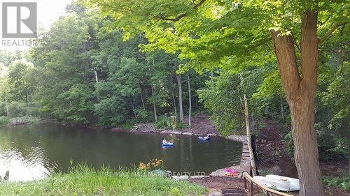 The pond - 14728 Heritage Road, Caledon, ON 