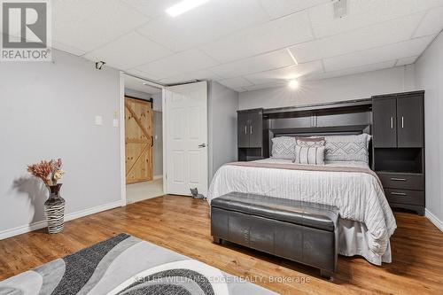 Bsmt. bedroom for guest suite or private retreat - 149 Cove Crescent, Hamilton, ON - Indoor Photo Showing Bedroom
