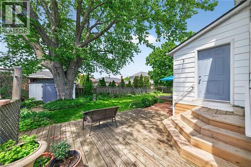 Expansive backyard featuring a large wood-plank deck, mature shade tree, manicured lawn, and a storage shed - 439 Murray Street, Grimsby, ON - Outdoor With Deck Patio Veranda