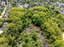 423 Veronica Drive, Kitchener, ON  - Outdoor 