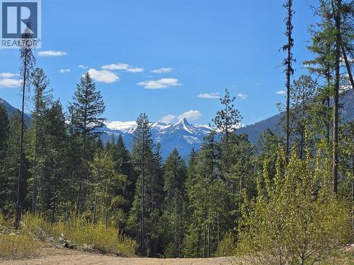 5396 6 Highway, Winlaw, BC - Outdoor With View