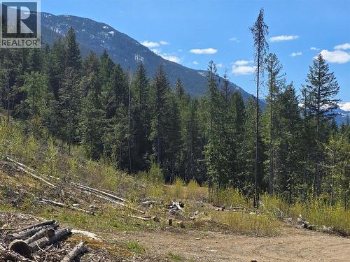 5396 6 Highway, Winlaw, BC - Outdoor With View