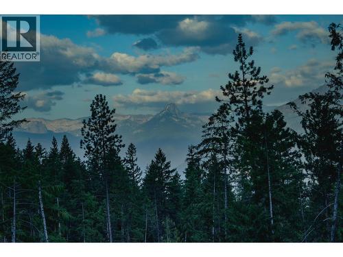 5396 6 Highway, Winlaw, BC - Outdoor With View