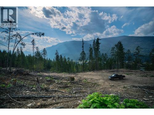 5396 6 Highway, Winlaw, BC - Outdoor With View