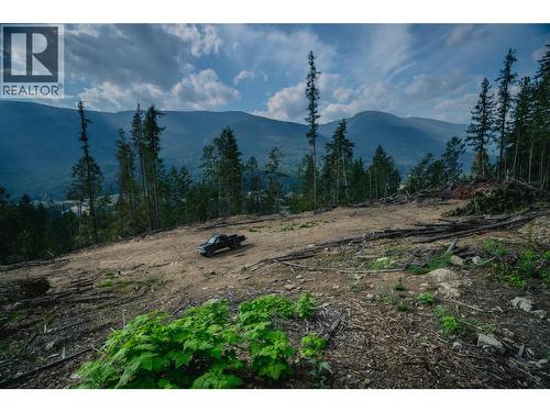 5396 6 Highway, Winlaw, BC - Outdoor With View