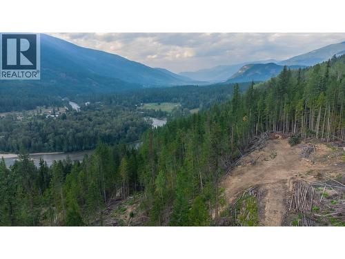 5396 6 Highway, Winlaw, BC - Outdoor With View