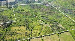 280 LOWER ROSENTHAL ROAD Brudenell, Lyndoch And Raglan, ON K0H 1K0