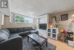 Basement Above Grade Windows - 