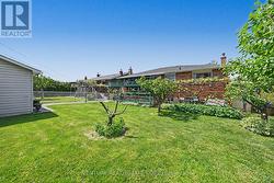 Exterior Backyard - 