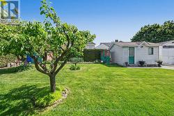 Oversized Sheds in Backyard - 