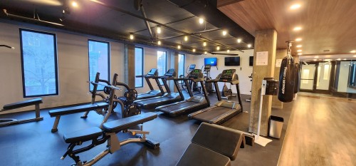 Exercise Room - 716-1 Boul. De Maisonneuve O., Montréal (Ville-Marie), QC - Indoor Photo Showing Gym Room