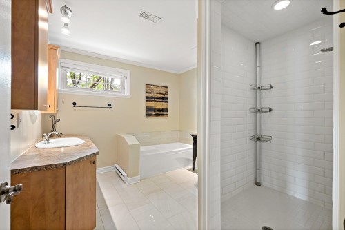 Salle de bains - 1320 Rue De La Baie, Chertsey, QC - Indoor Photo Showing Bathroom
