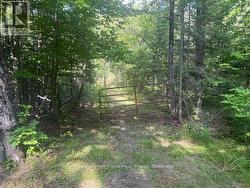 905 & 841 NORTH MCKENZIE LAKE ROAD  South Algonquin, ON K0J 2M0