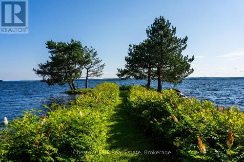 10 Wyldewood Road, Muskoka Lakes (Monck (Muskoka Lakes)), ON - Outdoor With Body Of Water With View