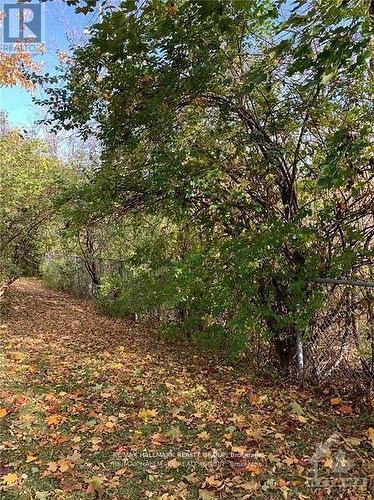 - - 84 Paddington Street, Ottawa, ON - Outdoor