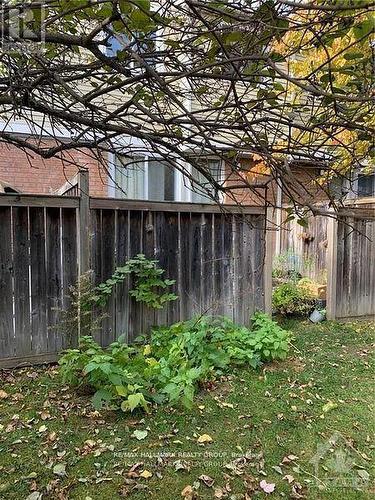 - - 84 Paddington Street, Ottawa, ON - Outdoor