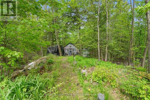 454 Kennedy Drive, Trent Lakes, ON - Outdoor