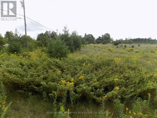 0 Hwy 43 Highway W, Drummond/North Elmsley, ON 