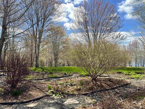 10797 Highway 105, Aberdeen, NS 