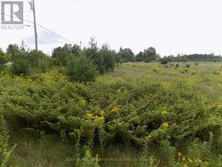 00 HWY 43 HIGHWAY W  Drummond/North Elmsley, ON K7H 3C7