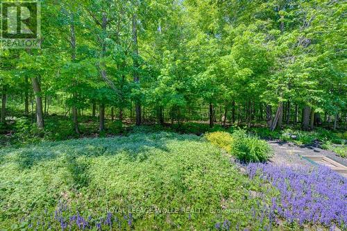 P86 - 175 David Bergey Drive, Kitchener, ON - Outdoor