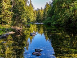 2980 Sooke River Rd Sooke, BC V9Z 0Y1