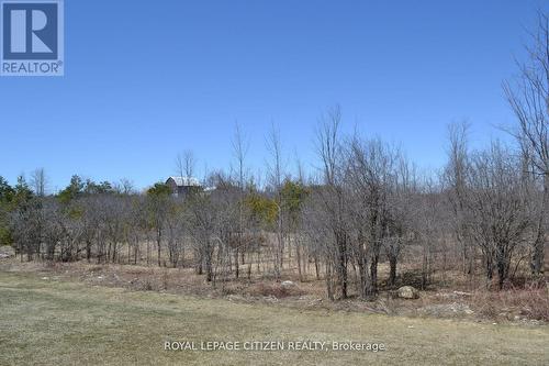 41 Carew Boulevard, Kawartha Lakes, ON - Outdoor With View