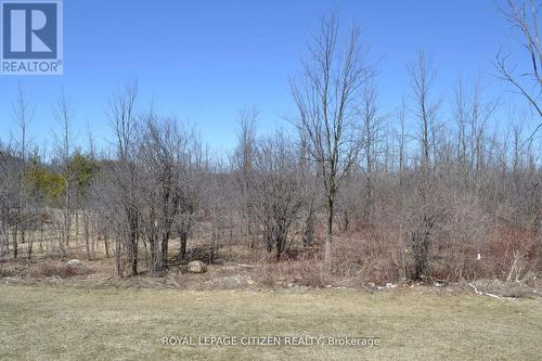 41 Carew Boulevard, Kawartha Lakes, ON - Outdoor With View