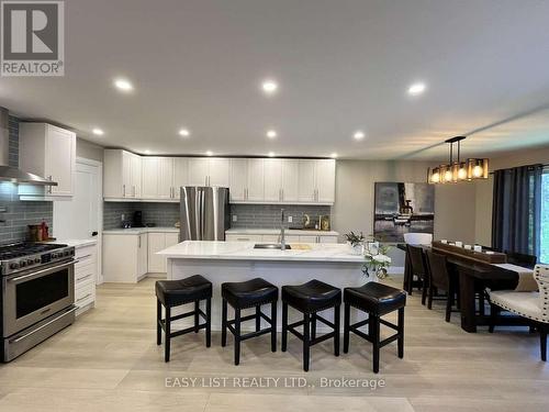 25350 C Highway 62, Bancroft, ON - Indoor Photo Showing Kitchen With Upgraded Kitchen