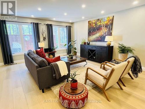 25350 C Highway 62, Bancroft, ON - Indoor Photo Showing Living Room