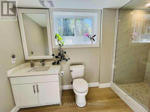 25350 C Highway 62, Bancroft, ON - Indoor Photo Showing Bathroom