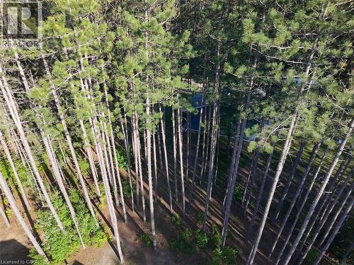 25350 C Hwy 62, Bancroft, ON - Outdoor With View