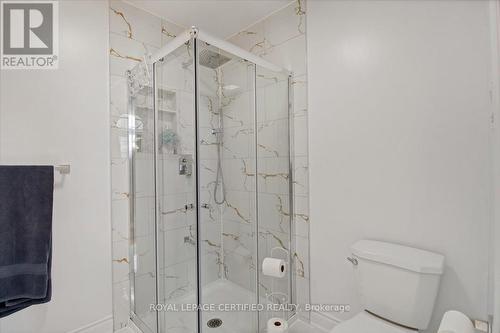 Ensuite Renovated- Standup Shower - 35 Trenholme Crescent, Hamilton, ON - Indoor Photo Showing Bathroom
