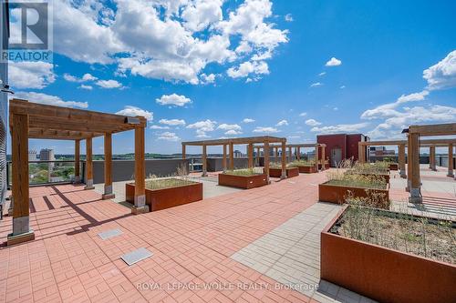 201 - 251 Hemlock Street, Waterloo, ON - Outdoor With Deck Patio Veranda