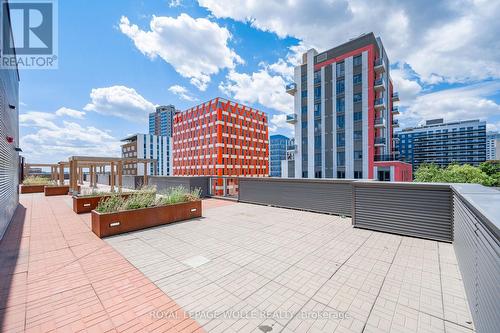 201 - 251 Hemlock Street, Waterloo, ON - Outdoor
