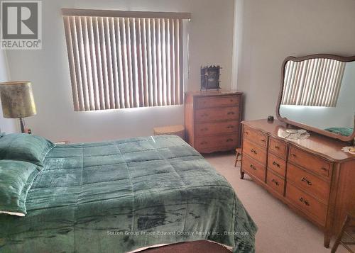 Large windows let the sun in, blinds soften it too - 5 - 16 Lane Avenue, Belleville (Belleville Ward), ON - Indoor Photo Showing Bedroom