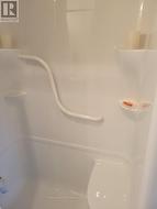 Grab bars, corner seat and lots of shelving in tub - 