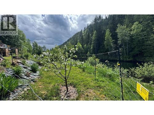 4761 Highway 31, Fletcher Creek, BC 