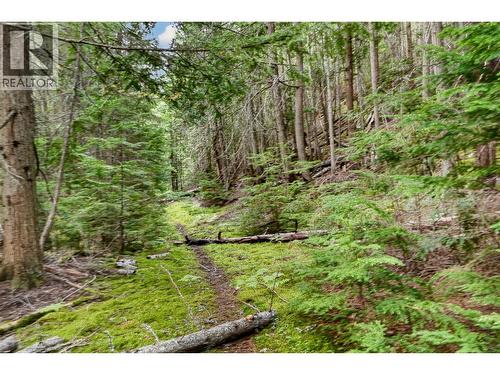 4761 Highway 31, Fletcher Creek, BC 