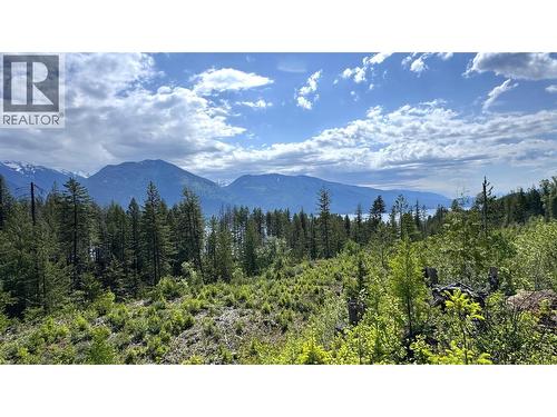 View from the upper lot bench - 4761 Highway 31, Fletcher Creek, BC 