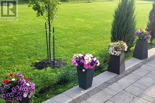 2180 King Vaughan Road, Vaughan, ON - Outdoor