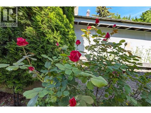 900 Sicamous Street, Enderby, BC - Outdoor With Backyard