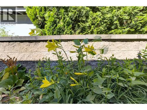 900 Sicamous Street, Enderby, BC - Outdoor